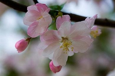 美国9月销量榜：《宇宙机器人》大热门排名第二